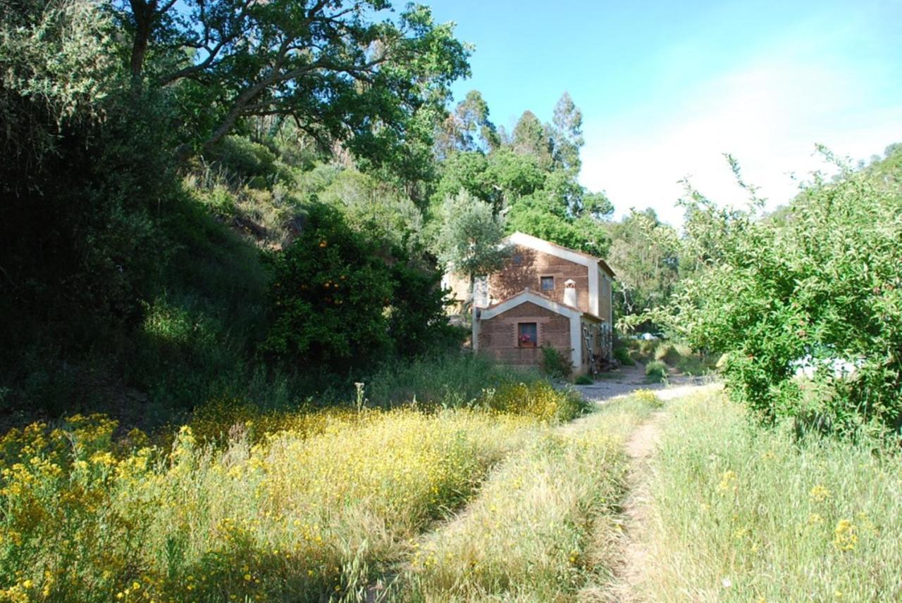 Casas Da Cerca Guest House Troviscais Exterior photo