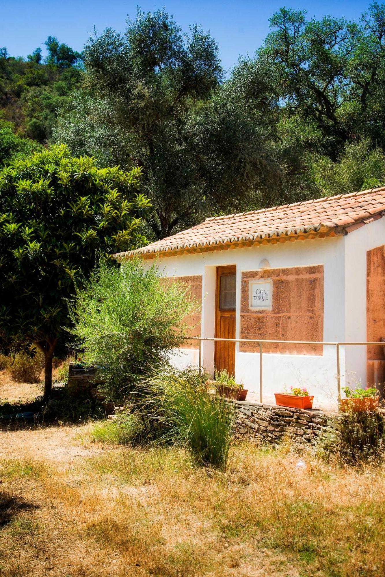 Casas Da Cerca Guest House Troviscais Exterior photo